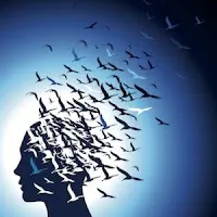 popular image used by  mindfulness practitioners